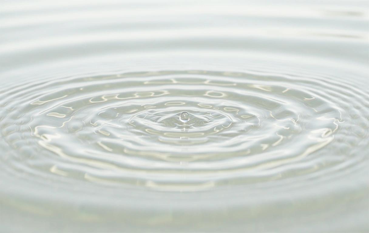 Mental clarity and focus